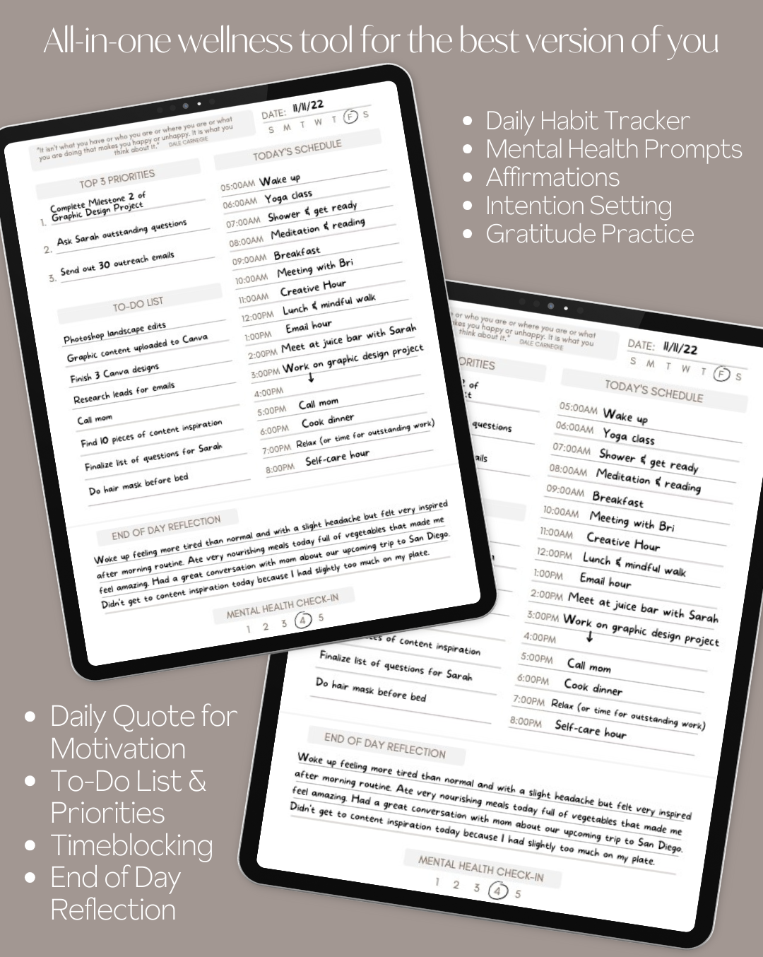 Daily Alignment Journal - DIGITAL VERSION