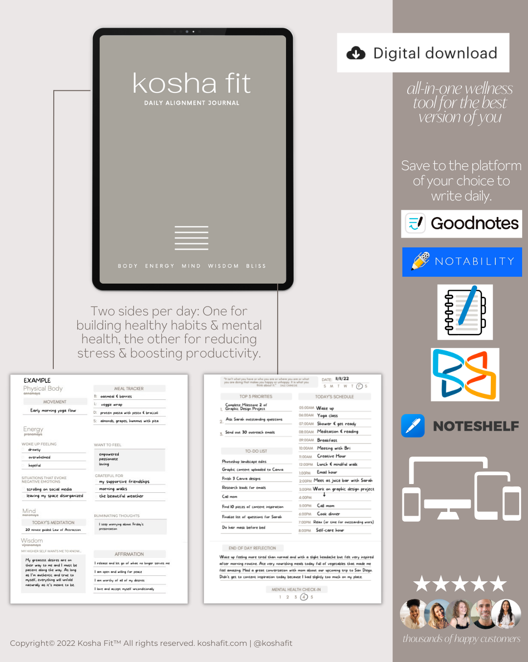 Daily Alignment Journal - DIGITAL VERSION